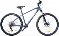 Купить велосипед Spirit Fitness Echo 9.4 29 2021 frame XL: цена от 21254 грн.