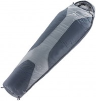 Купить спальный мешок Deuter Orbit -5: цена от 5600 грн.