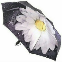 Купить зонт Trust 30471: цена от 1152 грн.