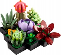 Купить конструктор Lego Succulents 10309: цена от 1799 грн.