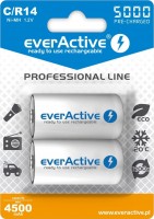 Купить аккумулятор / батарейка everActive Professional Line 2xC 5000 mAh: цена от 504 грн.