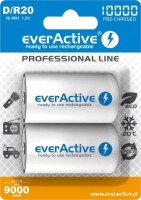 Купить аккумулятор / батарейка everActive Professional Line 2xD 10000 mAh: цена от 717 грн.