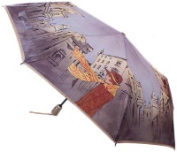 Купить зонт Airton 3916: цена от 843 грн.