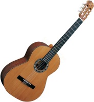 Купить гітара Admira Irene: цена от 12793 грн.