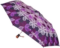 Купить зонт Airton 3635: цена от 580 грн.